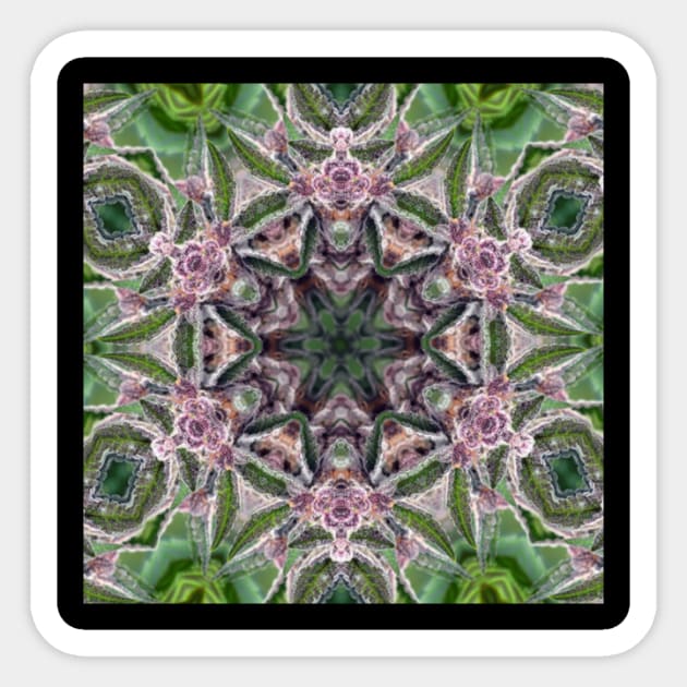 Herbal Mandala Sticker by dmorissette